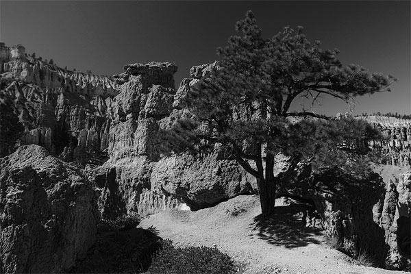 Peek-a-boo, Bryce Canyon NP