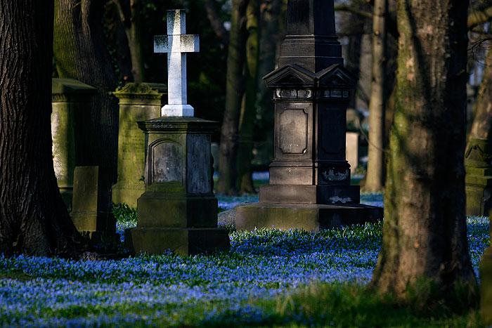 Cemetery - Braunschweig